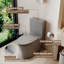 Toilette allongée une pièce à double chasse 1,1 / 1,6 GPF, hauteur confortable, conception économiseur d'eau, CARTE 1000 g-112665670
