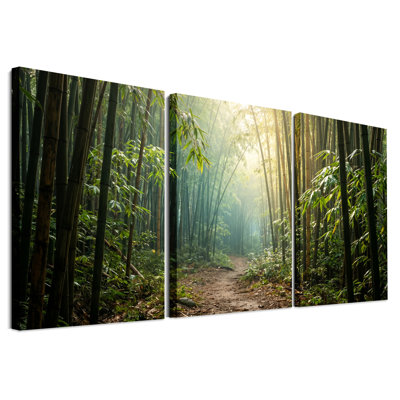 Sunlit Bamboo Forest Path, ensemble de 3 toiles murales vertes