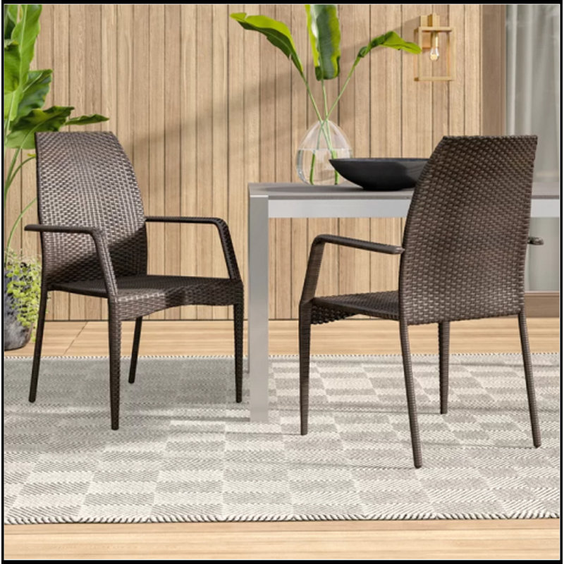 Ensemble de chaises d'extérieur en osier, ensemble de 2 chaises / ensemble robustes et confortables