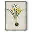 Fleurs des saisons VI, reproduction encadrée - bois massif-956500423