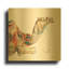 «Desert Camel I» par Alan Majchrowicz, art mural en métal doré, 24 po x 24 po-939821595