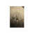 White n'est pas disponible