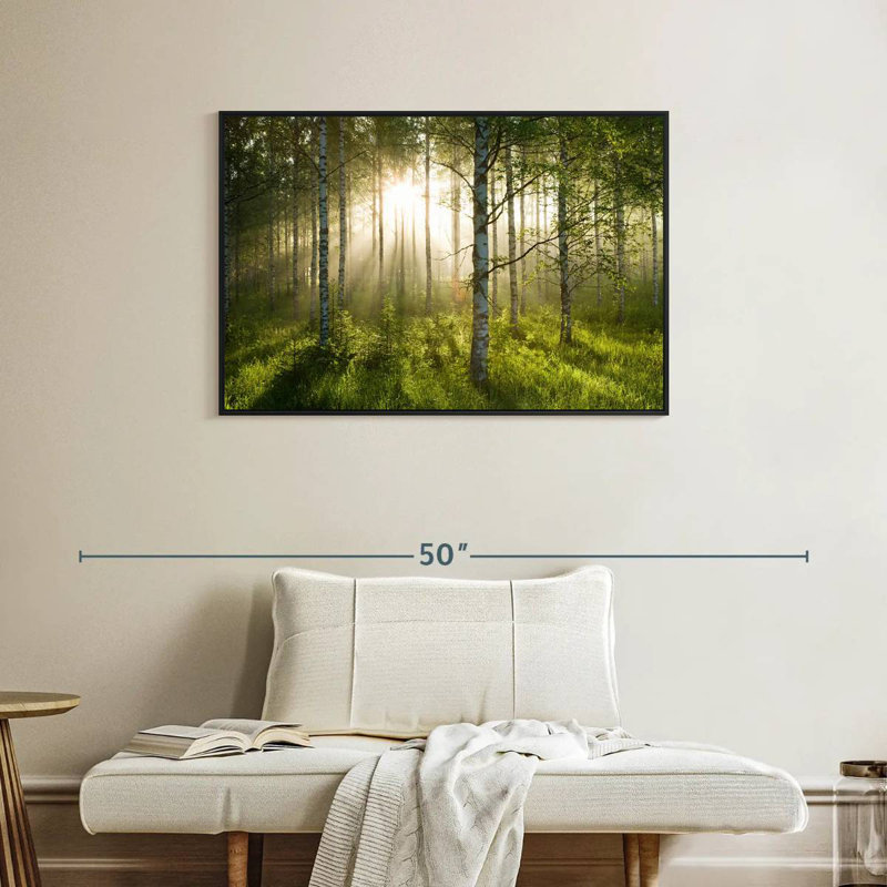 Birch Forest Sunlight, Cadre flottant noir, 37 po x 25 po