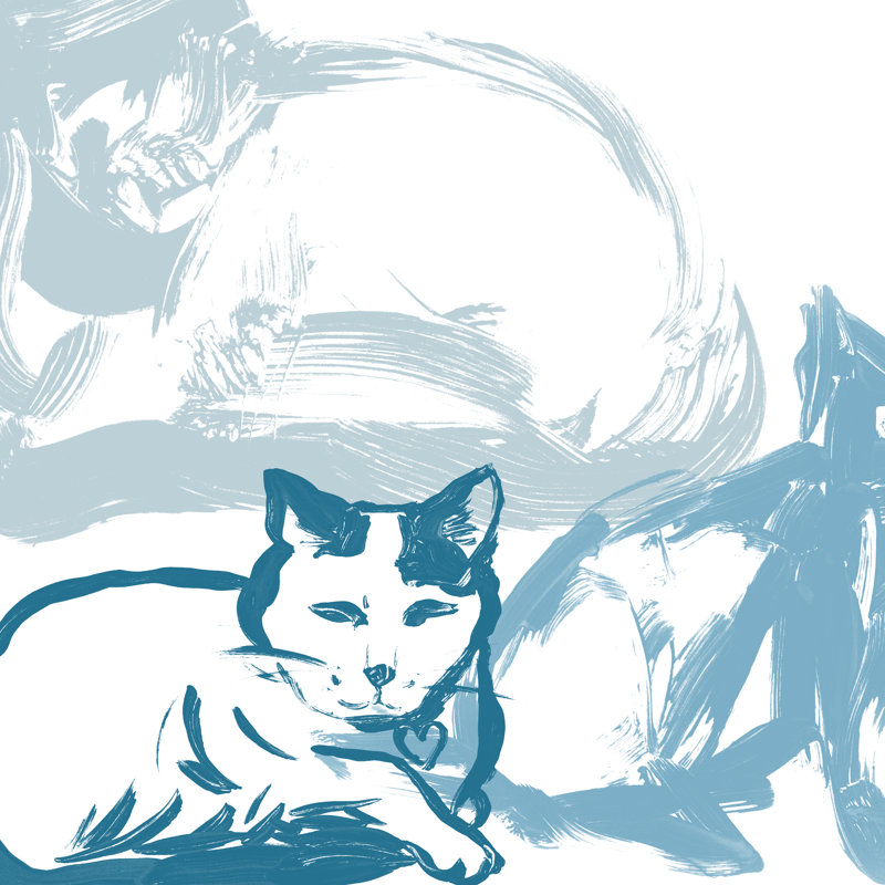«Eveque Paint Box Cats IV on Canvas» par June Erica Vess, reproduction, H 12 po x l 12 po