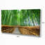 Path to Bamboo Forest - Reproduction de photo sur toile tendue-33284351-18436523