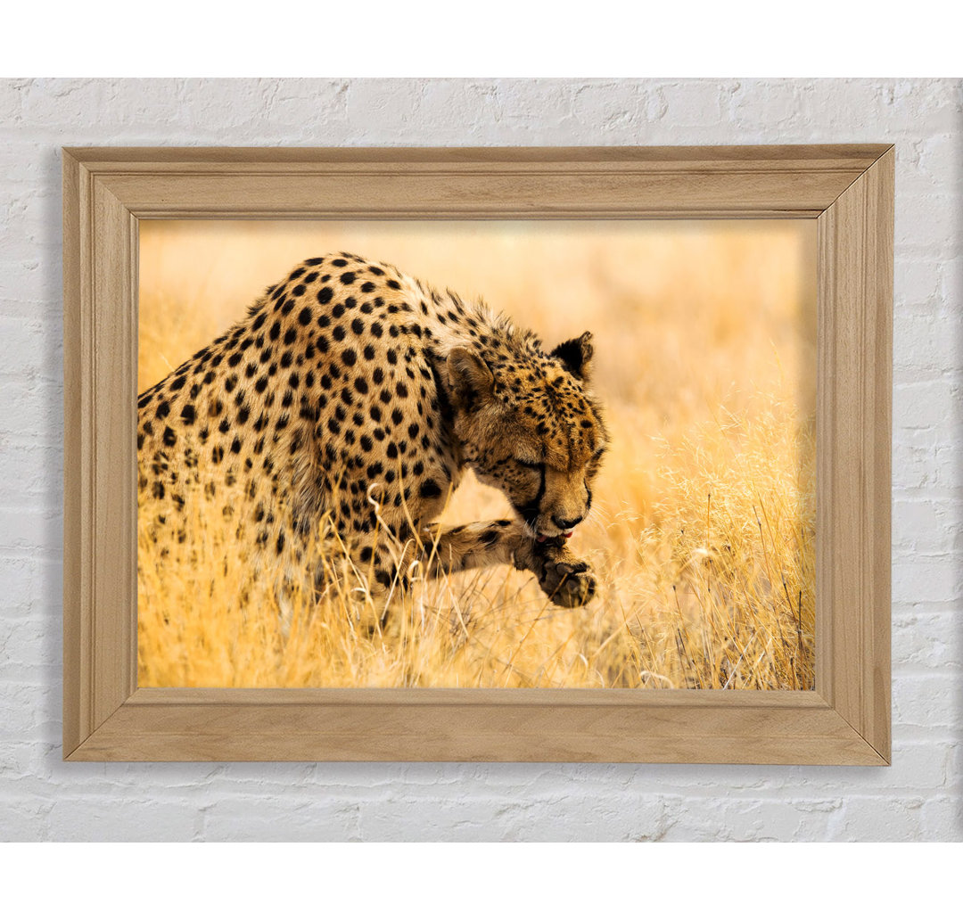 Cheetah Wash Gerahmter Druck Wandkunst