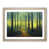 Oak Framed