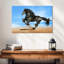 Cheval frison vivant-107922924