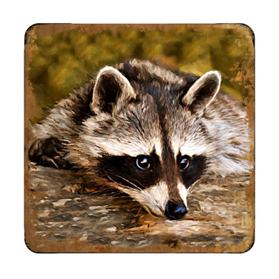 Sous-verre racoon