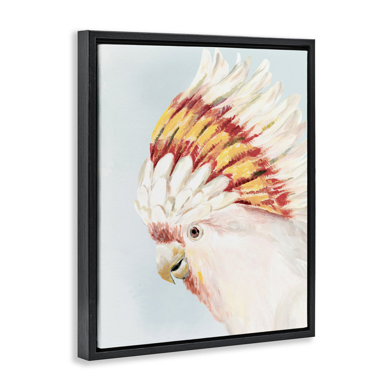 Cadre flottant de couleur cacatoès Vivid Plumage, conception par Hannah Dawson, Cadre flottant noir de jais