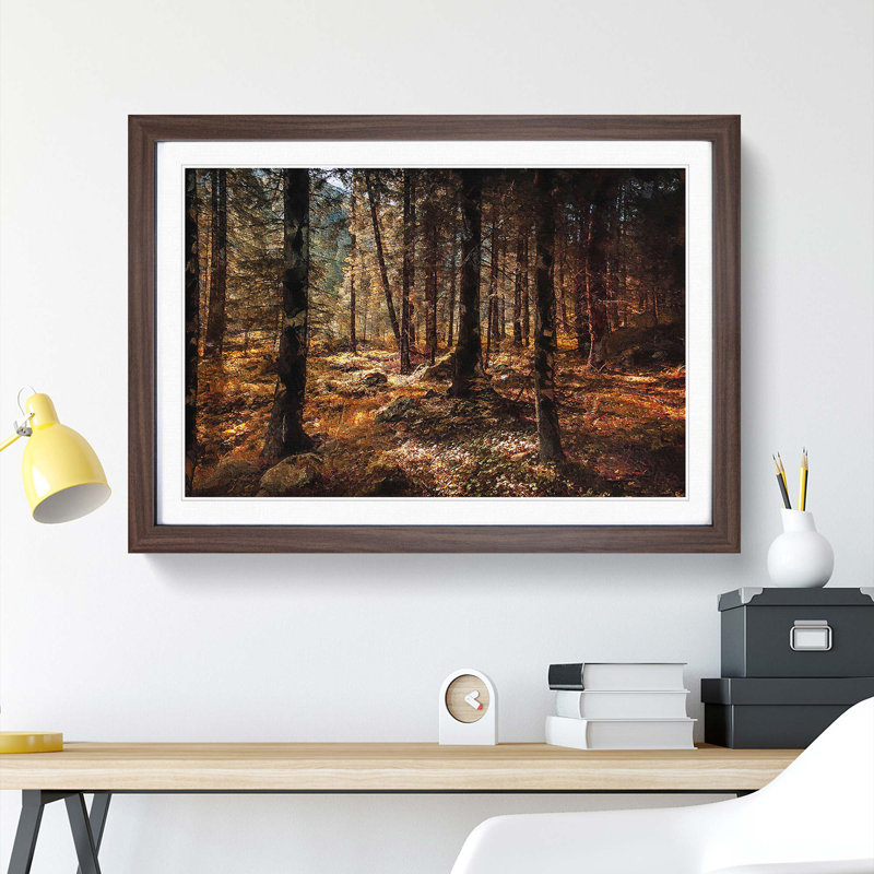 Within the Woods - Framed Print, 36cm H x 48cm W x 2cm D, Walnut Framed