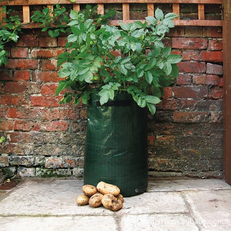 Sacs de plantation de pommes de terre non toxiques, écologiques et réutilisables convenant à la plantation à domicile