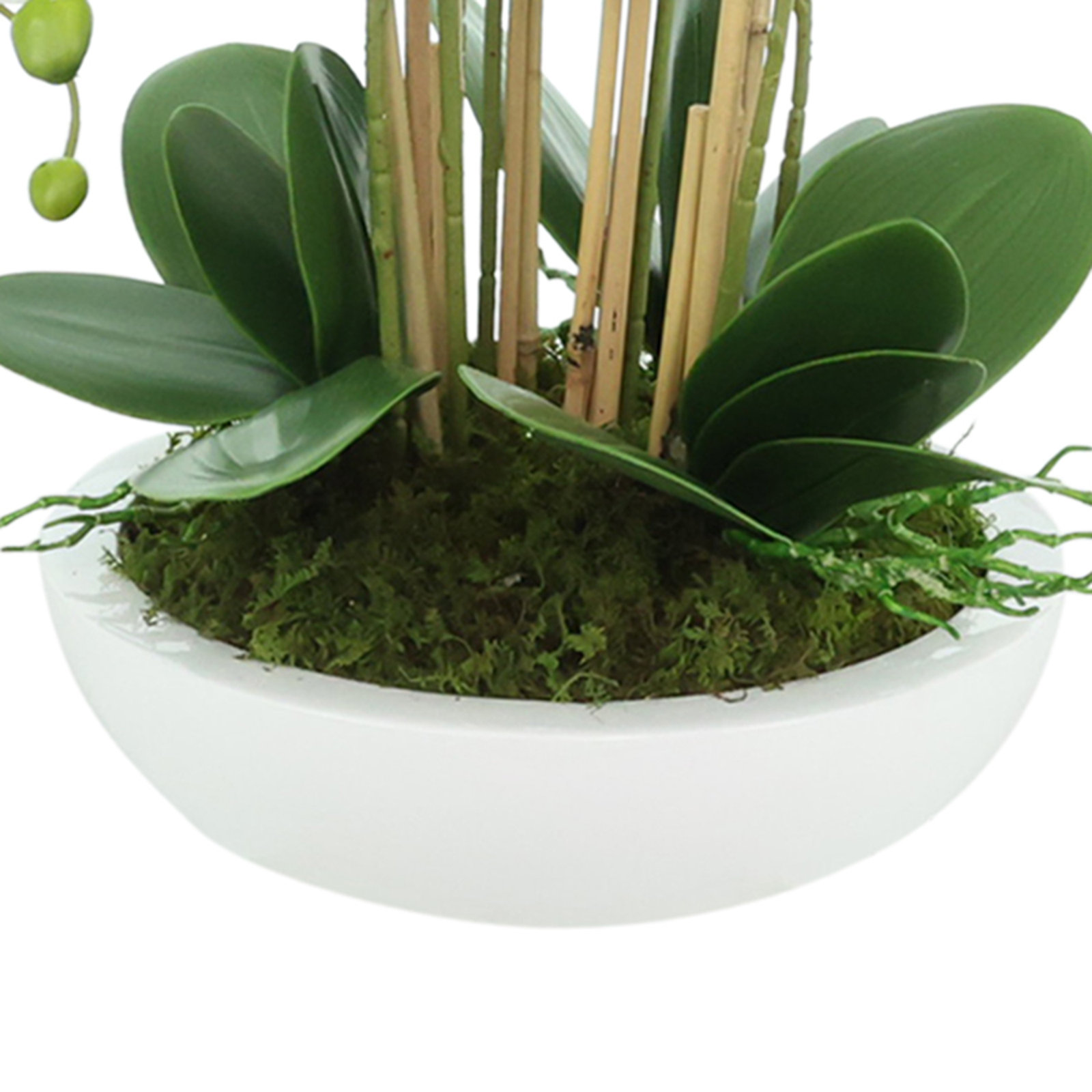 Orchid Floral Arrangement, 27"H x 26"W x 26"D