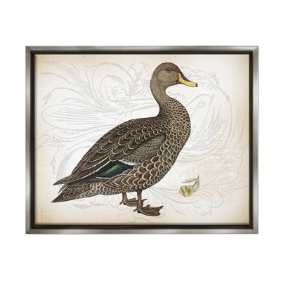 "Patterned Vintage Duck" par Lula Bijoux & Co. sur toile