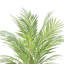 Akeyah Faux Palm Plant in Fiberstone Pot
