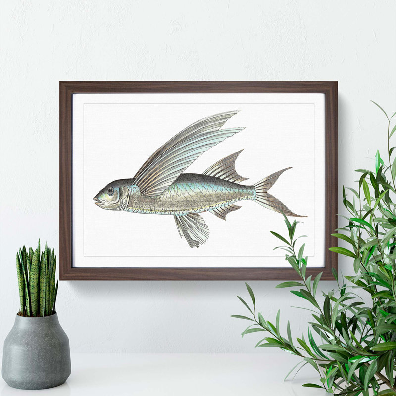 Flying Fish by George Shaw - Picture Frame Painting Print, 27cm H x 36cm W x 2cm D, Walnut Framed