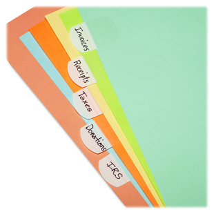 Plastic File Guides