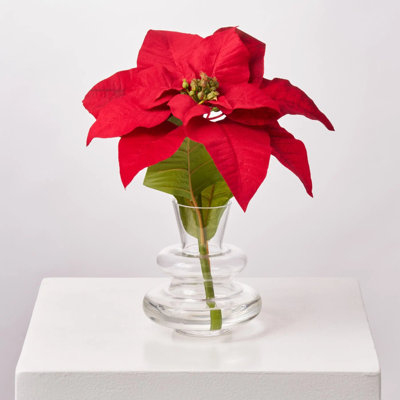Large Red Poinsettia Bloom in vase