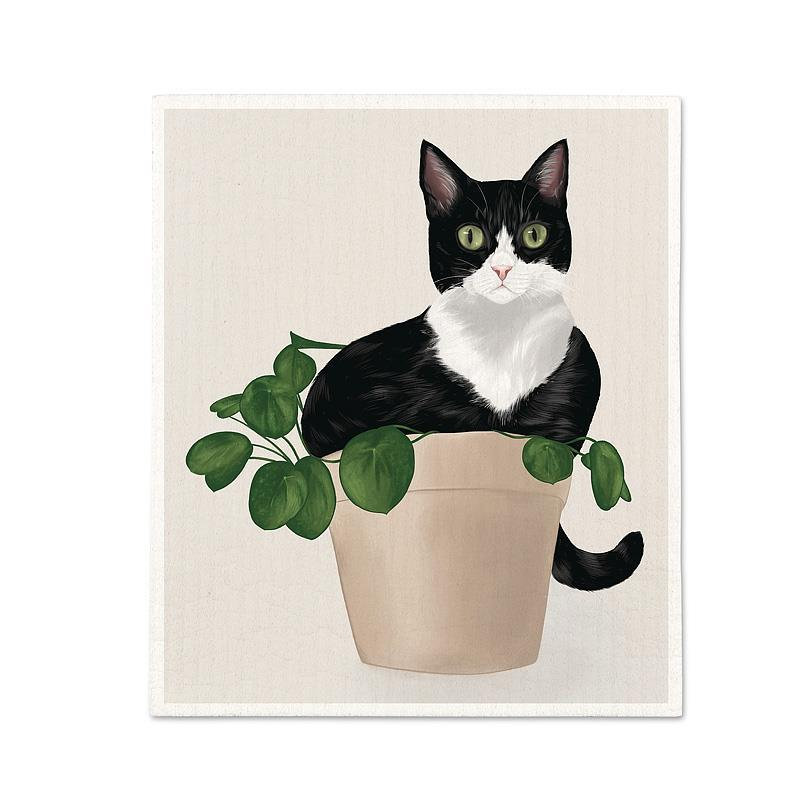 Chat dans une lavette