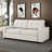 Pull-Out Sleeper Sofa Bed Loveseat Couch-842376473