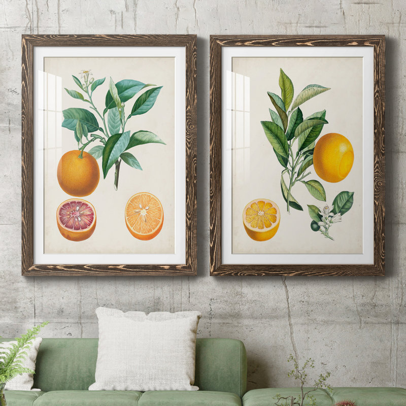 Orange de Malte - ensemble de 2 reproductions d'art, H 43,5 po x l 31,5 po x P 1 po, Papier, cadre noyer, Blanc