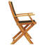 Chaises de patio pliantes vidaXL-1924204753
