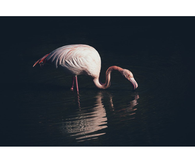 Wrapped Canvas Print, 81.28cm H x 121.92cm W