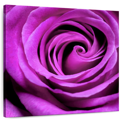 Harnek Purple Rose
