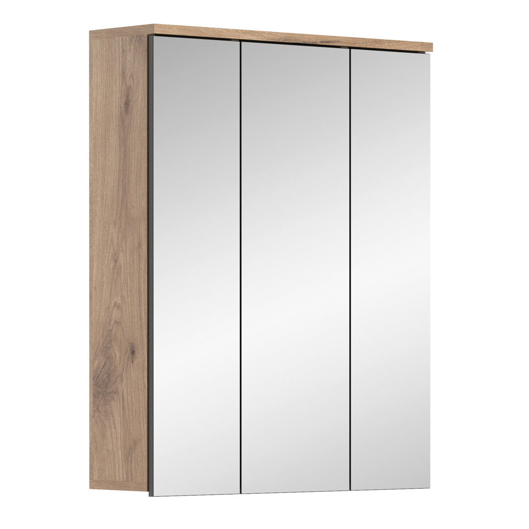 60 cm x 77 cm Spiegelschrank Hanieh