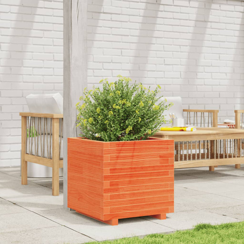 Bhavika Planter Box, 19.49" H x 19.69" W x 19.69" D, Wax Brown