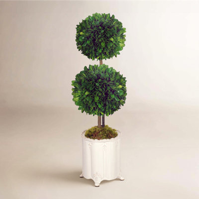 Topiaire à double boule dans un vase