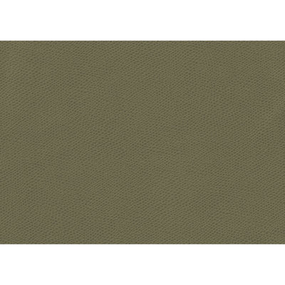 Ophidian Fabric