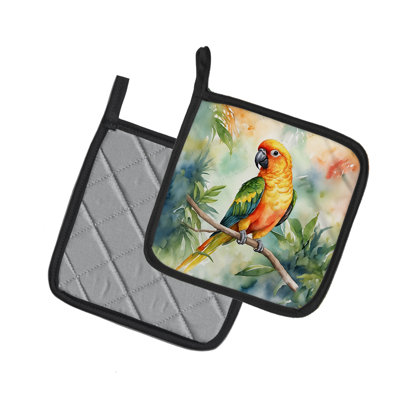 Paire de poignées Sun Conure