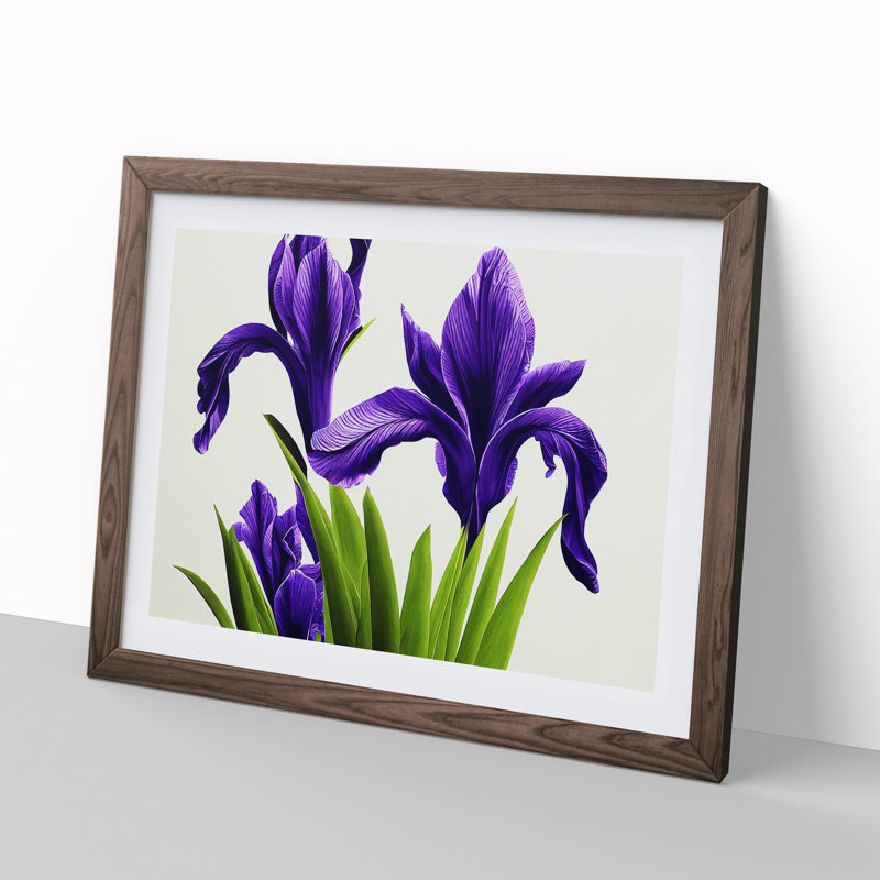 Spectacular Iris Flowers - Framed Print, 25cm H x 34cm W x 2cm D, Walnut