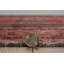 Laurel Amaya Machine Woven Polyester No Pattern Area Rug in Red-1115196149