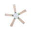 Arsav 130cm Ceiling Fan with LED Lights-1735100068