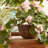 Geranium Hanging Basket Arrangement in Basket