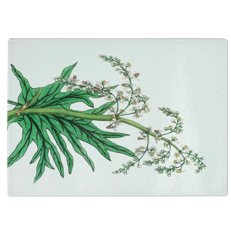 Tempered Glass Chinese Rhubarb Illustration Chopping Board, 39 cm W x 28.5 cm L