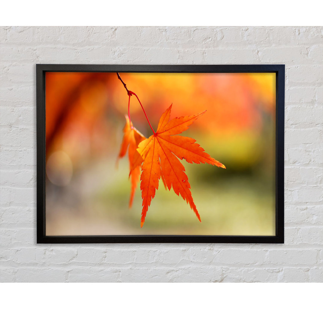 Orange Leaves Sparkle - Druck