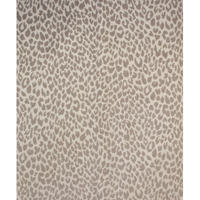 Shenzi Fabric