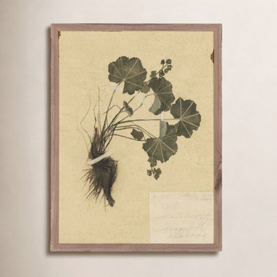 "Petite Study No. Vii" by Hannah Winters
