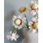 Faux 16,5 po Waratah Protea-2115729976-2115729983