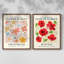 Ensemble de 2 estampes Vintage Floral Giclee - ensemble de 2-894865873-894865881