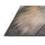 Tapis brun Amazing Animals 34-1679009356