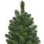 Sapin de l'Oregon 3 'de luxe