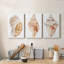 " Seashell I " 3 - Pieces Painting Print-28888305