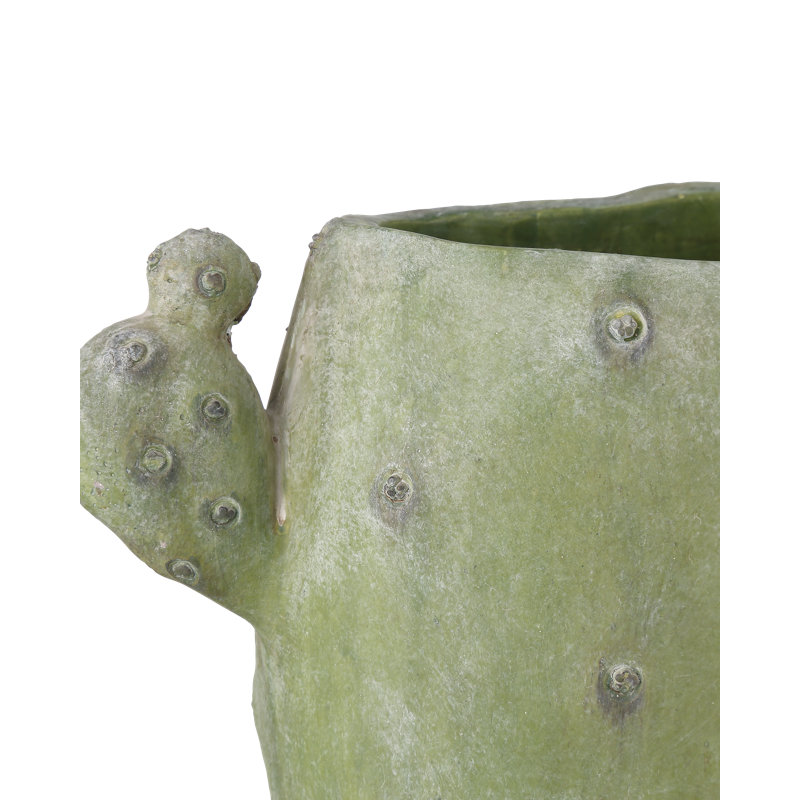 Cactus Vase Set Of 3