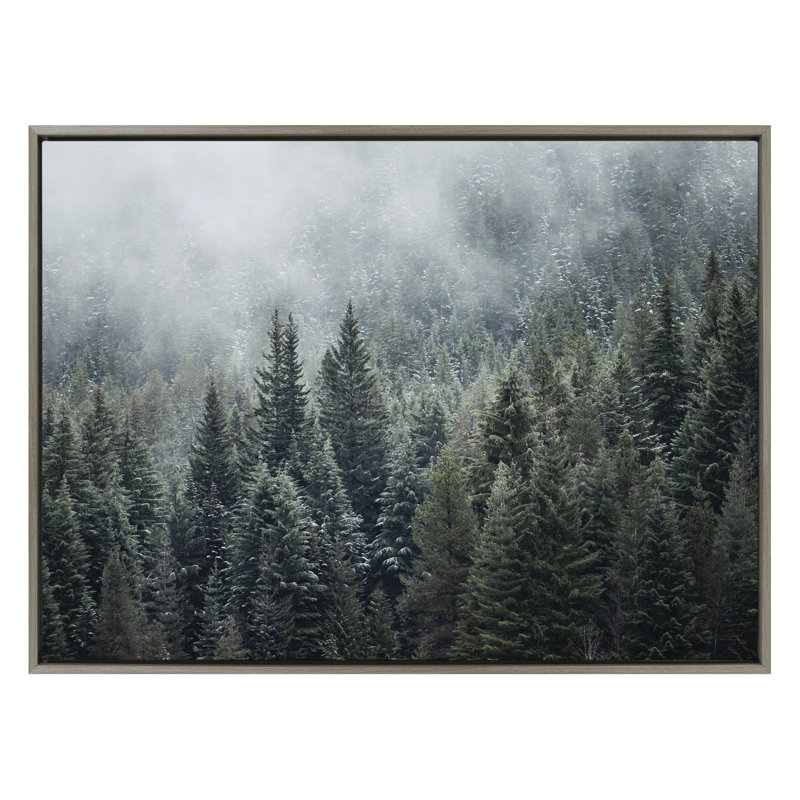 Evergreen Dream 2 by Emiko and Mark Franzen F2Images Framed Canvas Wall Art Print