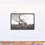 Bull photo encadrée sur toile-344588712