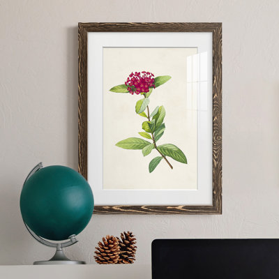«Pretty Botanicals II», cadre photo